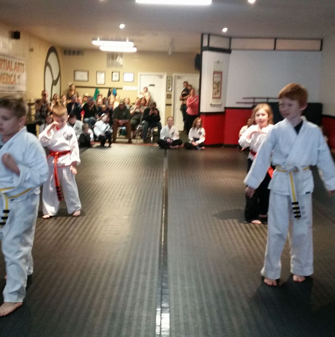 Gallery Martial Arts America Williamsburg